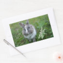 Search for large mammal stickers Nature