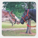 Search for draught horse stickers Clydesdale