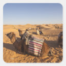 Search for african sunset stickers Landscape