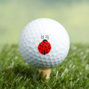 Recherche de coccinelle Insecte
