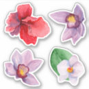 Recherche de orchidée violette autocollants Pour elle