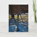 Search for water christmas cards Photography