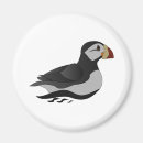 Recherche de oiseau macareux magnets Bouffon