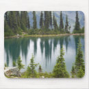 Search for british columbia electronics Forest