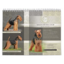Search for welsh terrier Animals
