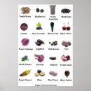 Search for fruit and vegetables posters Nutrition