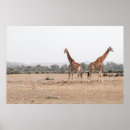 Search for vintage giraffe art Natural