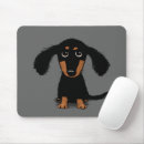 Recherche de chiot tapis souris Dachshund