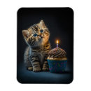 Search for lovable magnets Cat