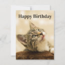 Search for birthday christmas cards Animal