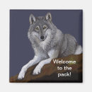 Search for wolf pack magnets Nature