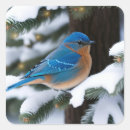 Recherche de bluebird autocollants Hiver