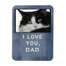Search for dads rectangular magnets Cat