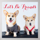 Search for corgi posters Baby animals