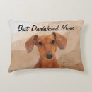 Search for dachshund pillows Pets