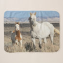 Search for horse blankets Mare