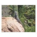 Recherche de iguane art Faune