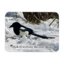 Search for billings magnets Animal