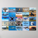 Recherche de b 52 posters Force aérienne