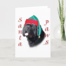 Search for newfoundland dog christmas cards Dogs