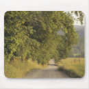 Recherche de campagne tapis souris Route