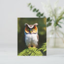 Search for screech postcards Wildlife