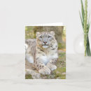 Search for leopard halloween cards Cute
