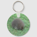 Search for baby design keychains Nature