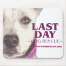 Search for adopt a electronics Rescue