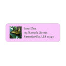 Search for tiger swallowtail return address labels Nature