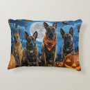 Recherche de malinois coussins Halloween