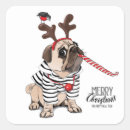 Recherche de de carlin autocollants Saison