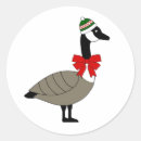 Search for canadian goose stickers Birds