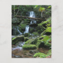 Recherche de forestier cartes postales Canada