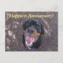 Search for funny dog anniversary cards Puppy