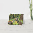 Search for woodland animals holiday cards Tree