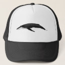 Search for humpbacked hats Whales