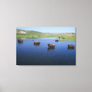 Search for swallows posters Outdoors