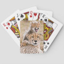 Search for baby cheetah toy games Cat