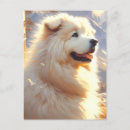 Recherche de pyrenees cartes postales Chiot