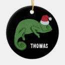 Recherche de cameleon ornements Reptiles