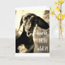 Search for funny dog cards Doxie