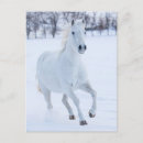 Recherche de chevaux neige cartes postales Hiver