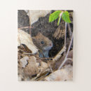 Search for mouse puzzles Rodent