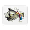 Recherche de anatomie magnete Médical