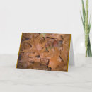 Search for autumn equinox cards Leaves