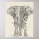 Search for zoo animal drawing posters Elephant