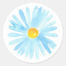 Search for aster stickers Daisies