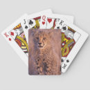 Search for baby cheetah toy games Cub