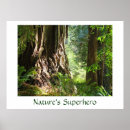 Search for big tree art Nature